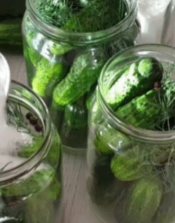 Kiseljenje krastavaca: Savršen recept za domaće ukiseljenje